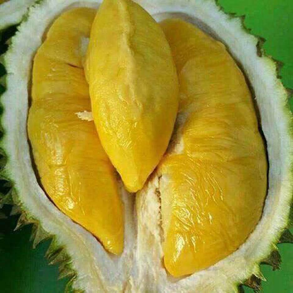 Durian Mentega