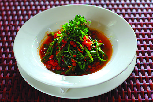Plecing kangkung