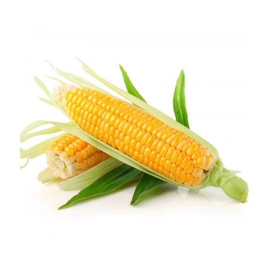 Corn Fresh Vegetable