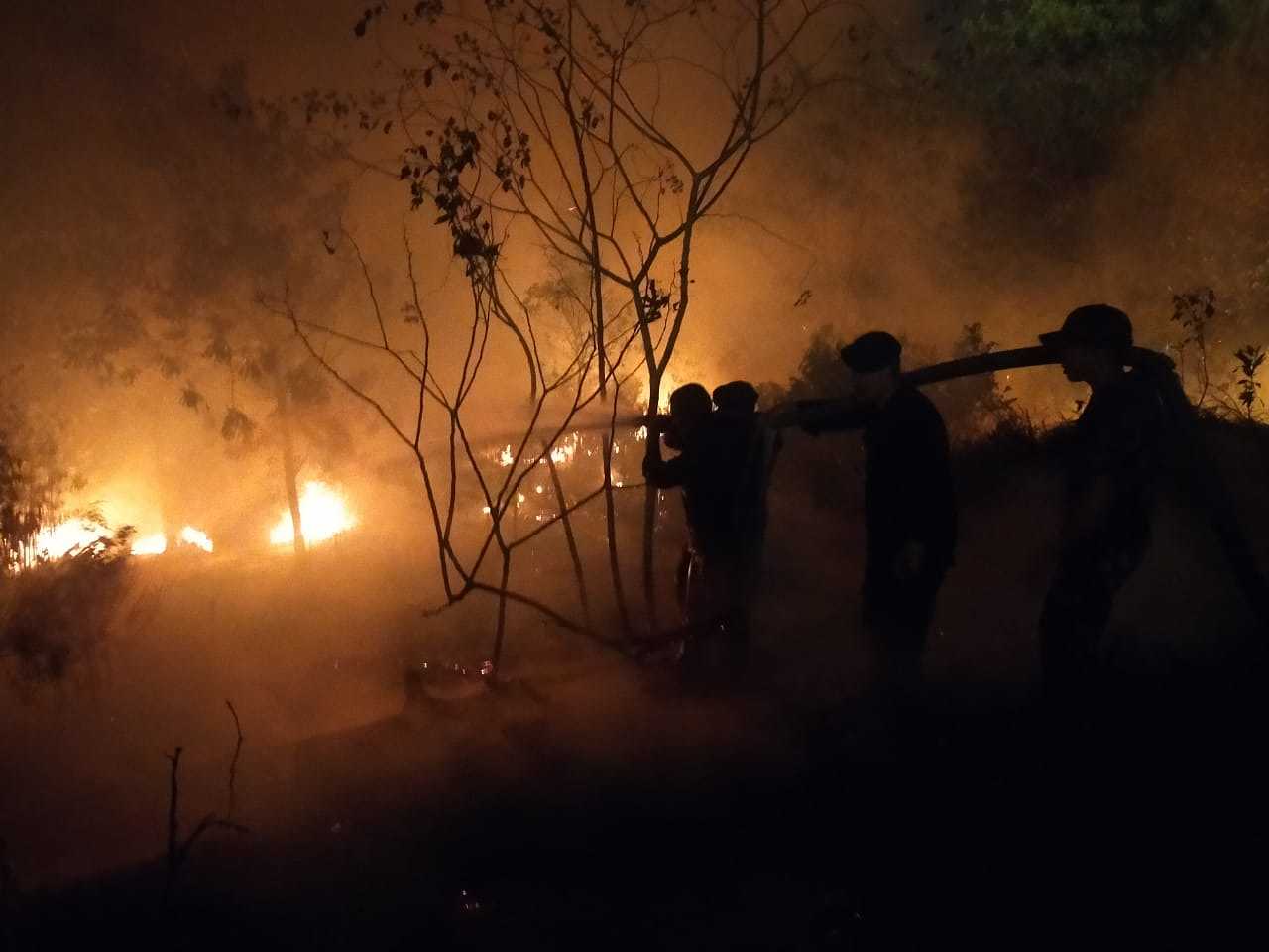 Tanggap Karhutla, Brimob Batalyon B Pelopor Bantu Padamkan Kebakaran Hutan di Bintan Utara