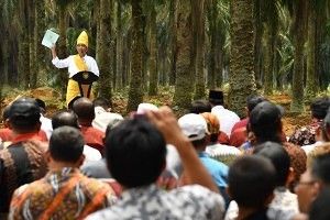 Presiden Jokowi Resmikan Peremajaan 25.423 Hektar Lahan Sawit untuk Rakyat