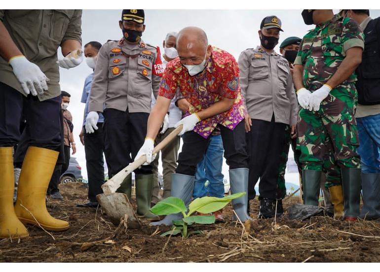 Menteri Teten Terus Kembangkan Korporatisasi Petani Pisang Cavendish Di Bener Meriah Aceh