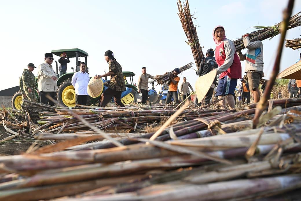 Petani Rasakan Dampak Penguatan Sektor Pertanian, Produktivitas Meningkat dan Pupuk Kian Mudah Diakses