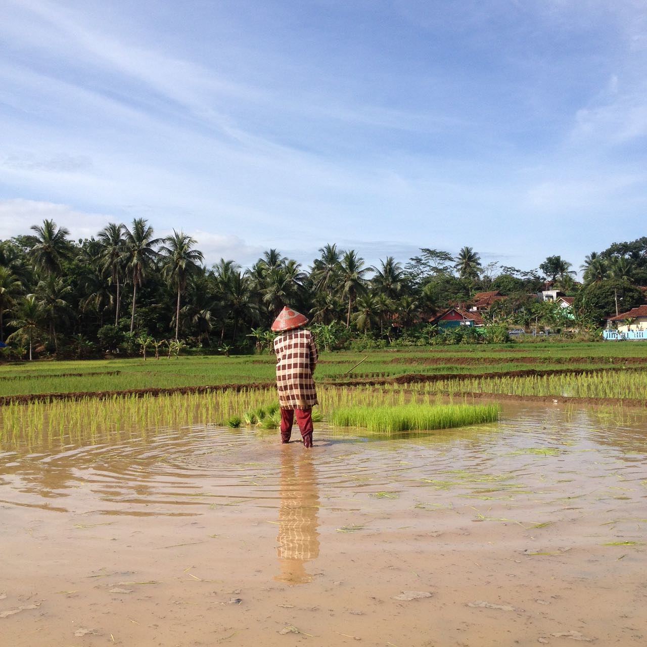 Eco - Farming