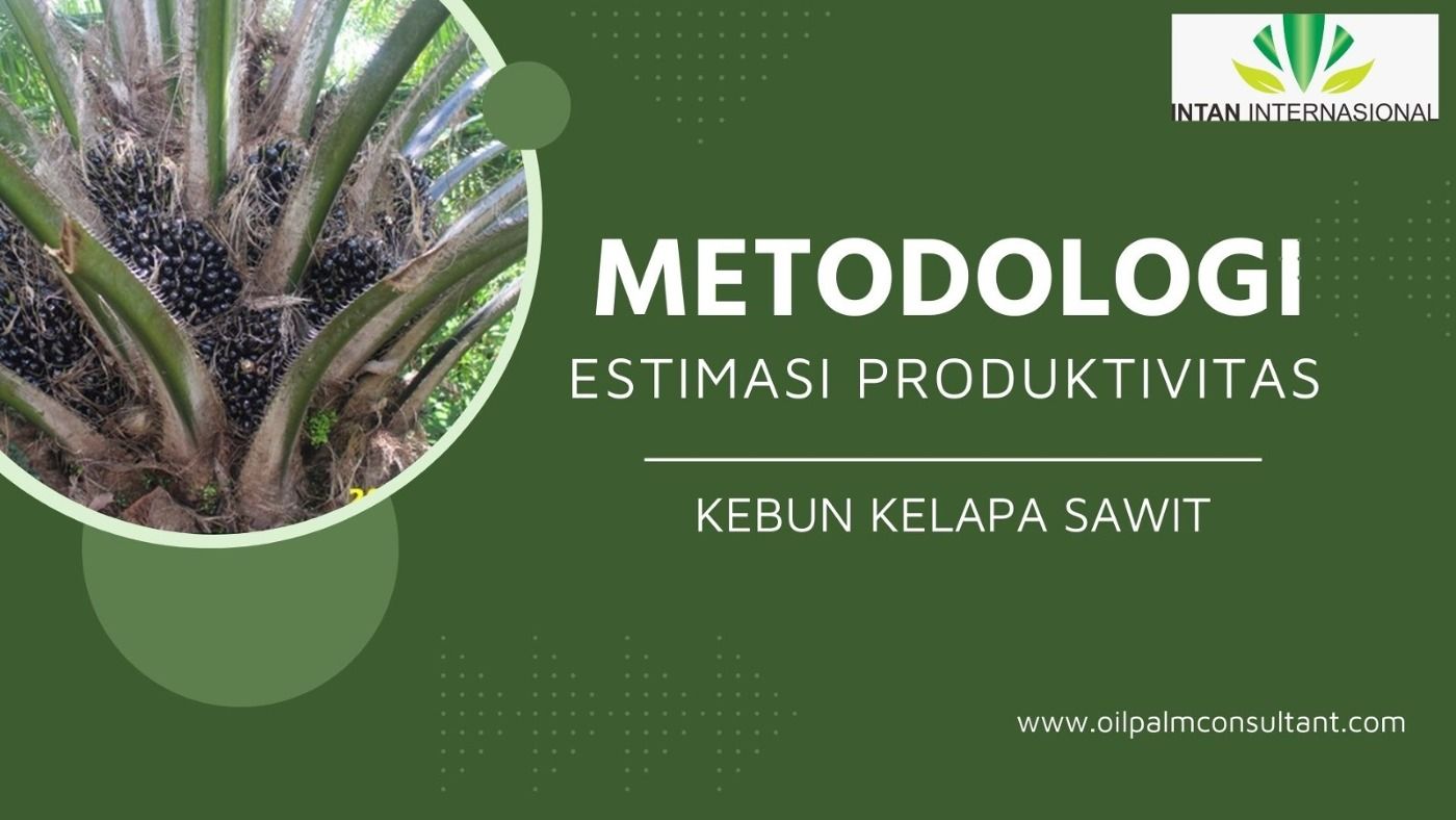 METODOLOGI ESTIMASI PRODUKTIVITAS KEBUN KELAPA SAWIT