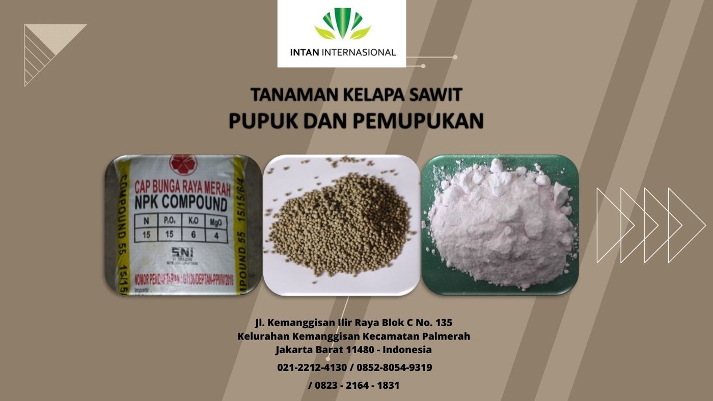 TANAMAN KELAPA SAWIT - PUPUK DAN PEMUPUKAN