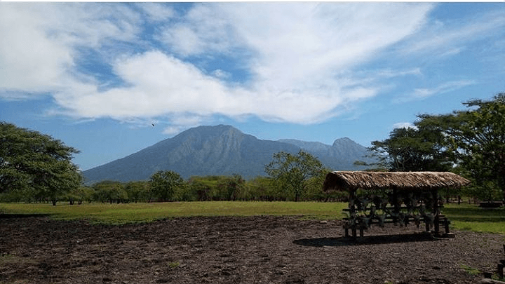 Savana Baluran