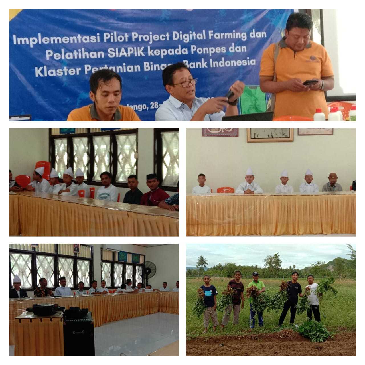 Implementasi Digital Farming Klaster Pertanian Binaan BI di Pesantren HUBULO