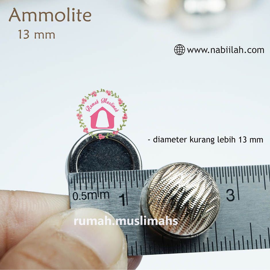 Pin magnet AMMOLITE 13 mm