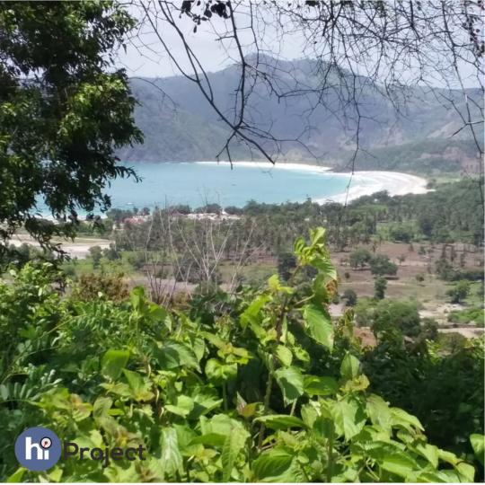 1,5 Hektar Tanah Bukit dengan View Laut T042