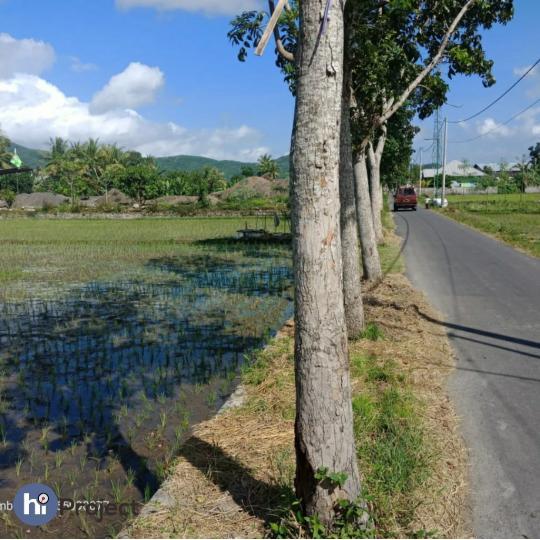 Tanah pinggir jalan dekat bypass Kediri Lombok barat T285