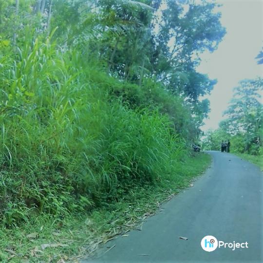 1350 M2 tanah bukit di Batulayar T098