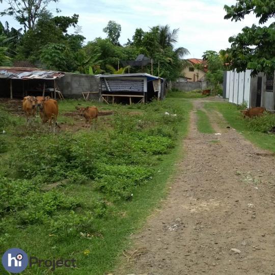 Tanah Kavling di Senteluk Lombok Barat T256