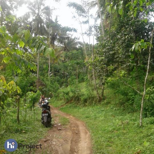 Tanah Bukit Murah di Lingsar Lombok T045