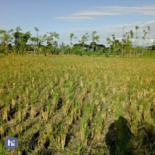 48 Are Tanah dekat Jalan Bypass Lombok Tengah T289