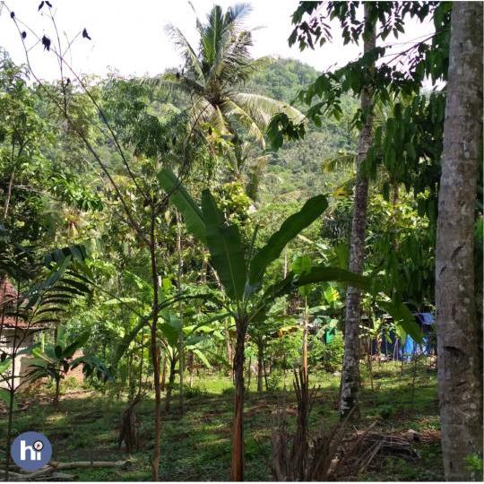21 Are tanah bukit di Batu Layar Lombok T169