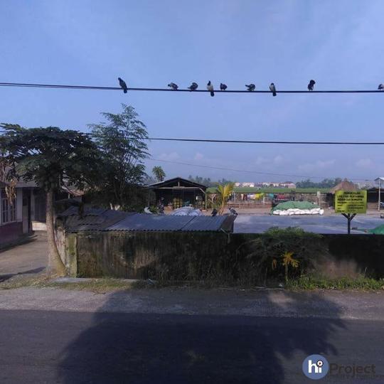 12.493 M² tanah di Jempong T203