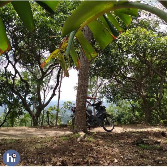 Jual Tanah bukit 15 Are di Batu Layar T139