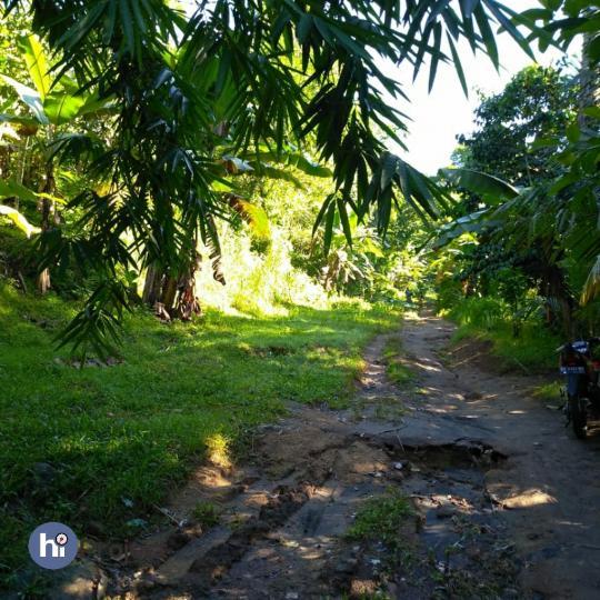 1,6 Hektar Tanah di Desa Mekarsari Lombok barat T288