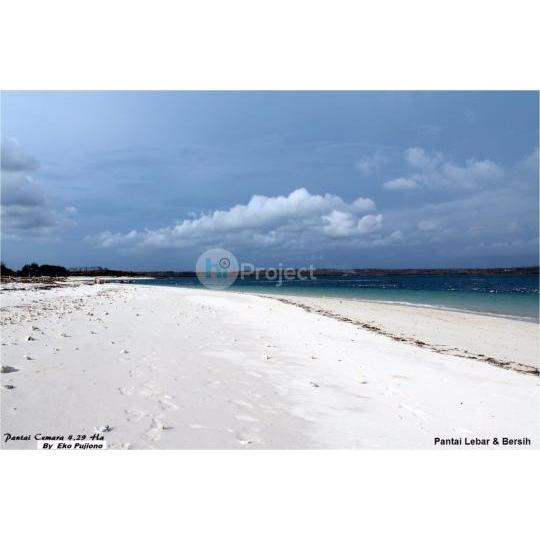 4 HECTARES BEACHFRONT LAND T120