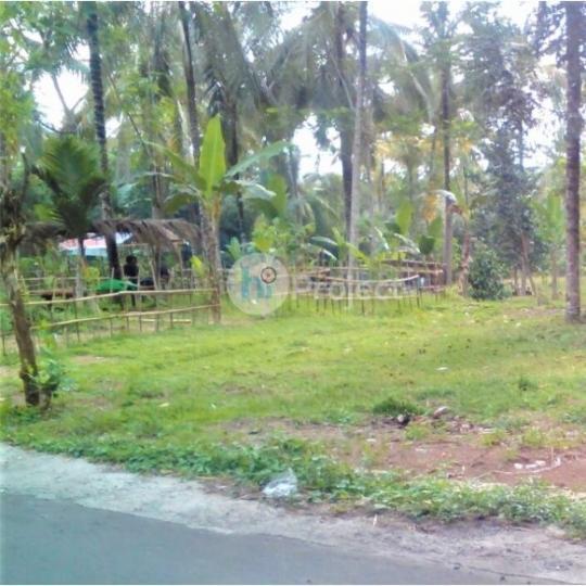 tanah kavling murah di Lingsar T105