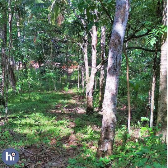 Jual Tanah Bukit 20 Are di Batu Layar T154