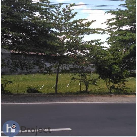 54 Are tanah di pinggir jalan raya Labuapi T258