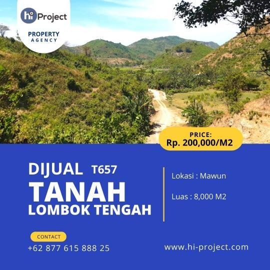 Tanah bukit Lombok tengah 8,000 M2 di Mawun Pujut T657