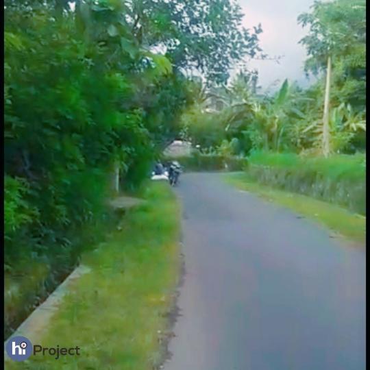 Tanah yang sudah ditembok keliling di Lingsar T044