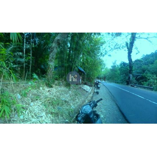 5.200 M2 tanah bukit di Pinggir Jl raya Tanjung T145