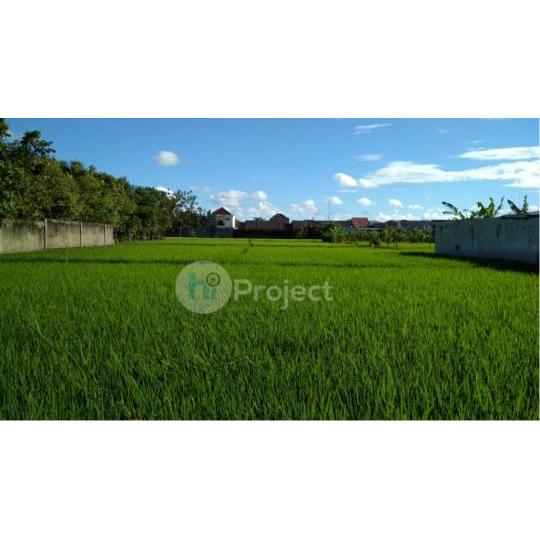 40 are tanah sawah di tengah kota T063
