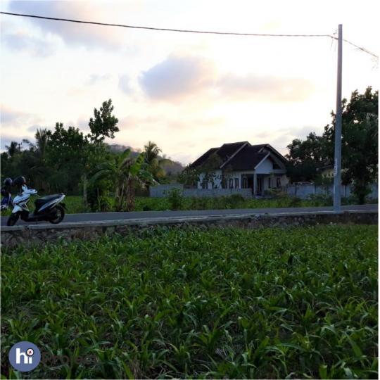 Dijual Murah Tanah Sawah di Lembar T180