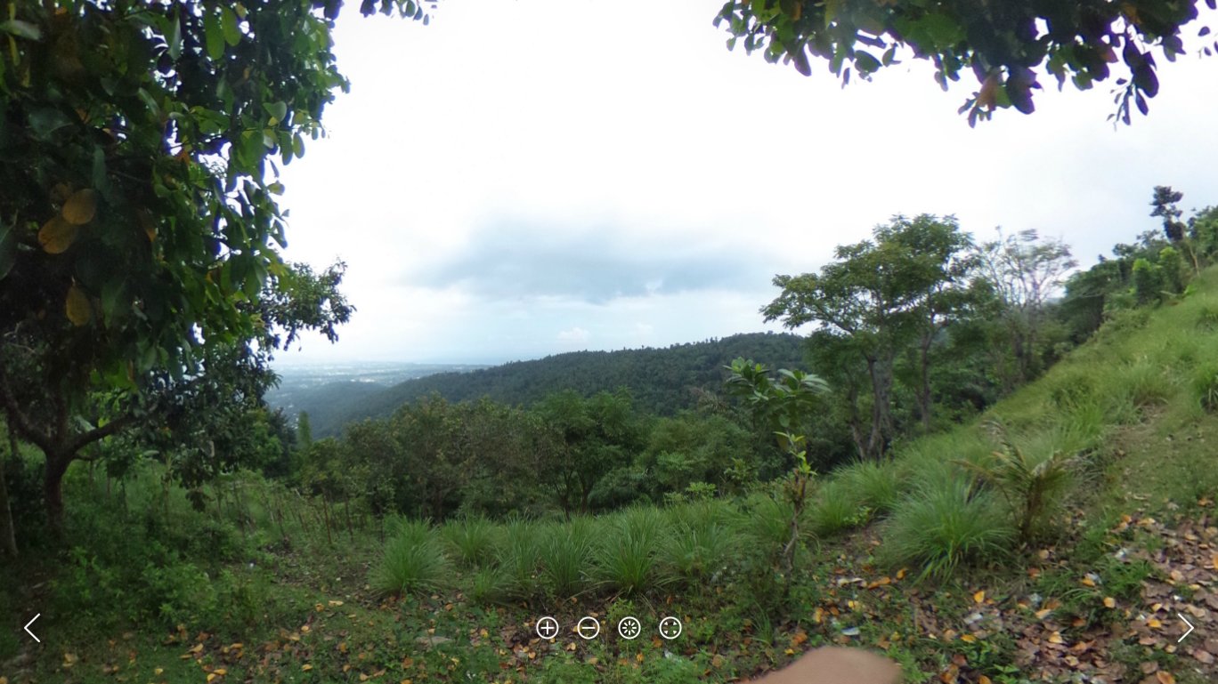 img-1526443175.jpg