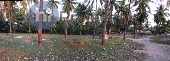 img-1530853298.jpg