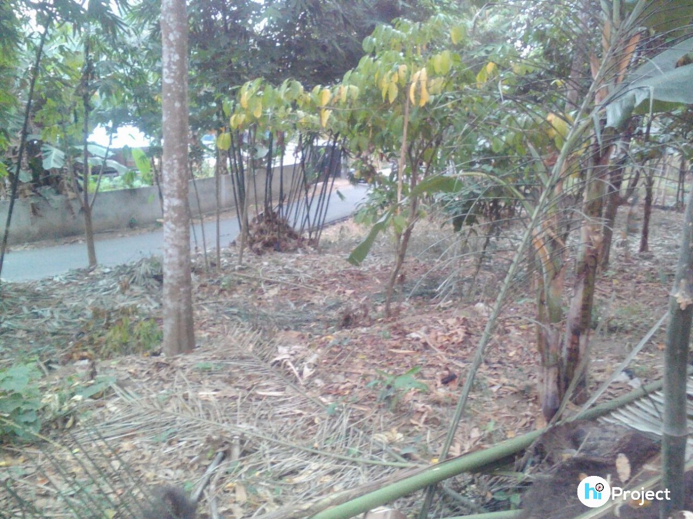 img-1535607892.jpg
