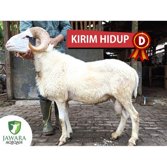 Aqiqah Kirim Hidup Type D