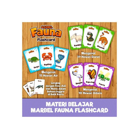 Flash Card Fauna