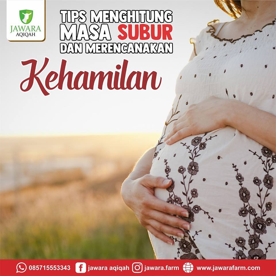 Tips Mengetahui Masa Subur dan Merencanakan Kehamilan