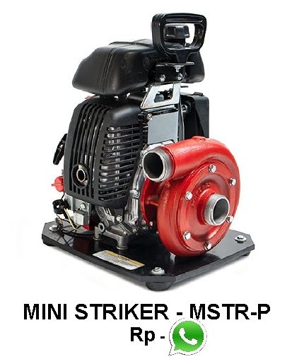 Fire Pumps MINI STRIKER SERIES MSTR -P