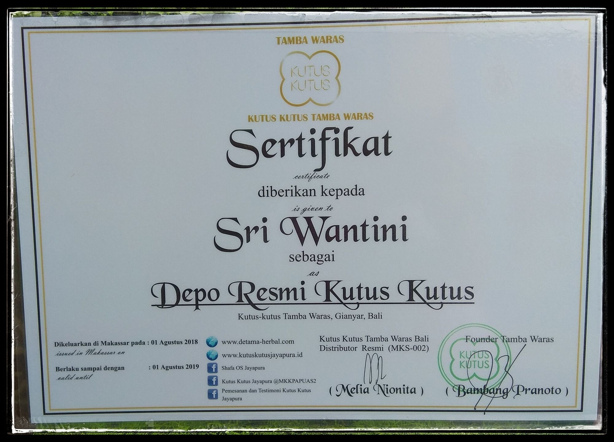 Sepatu Wanita Dewasa  Agen Kutus Kutus Resmi Jayapura 