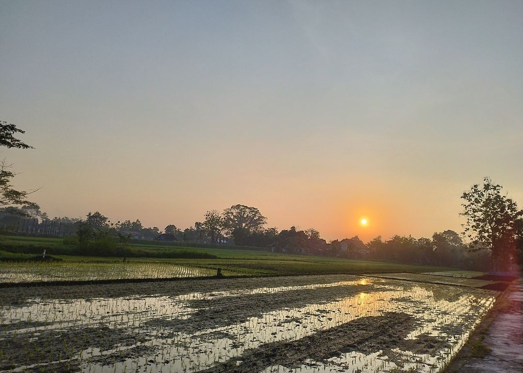 KOPERASI DESA DAN KEDAULATAN EKONOMI 