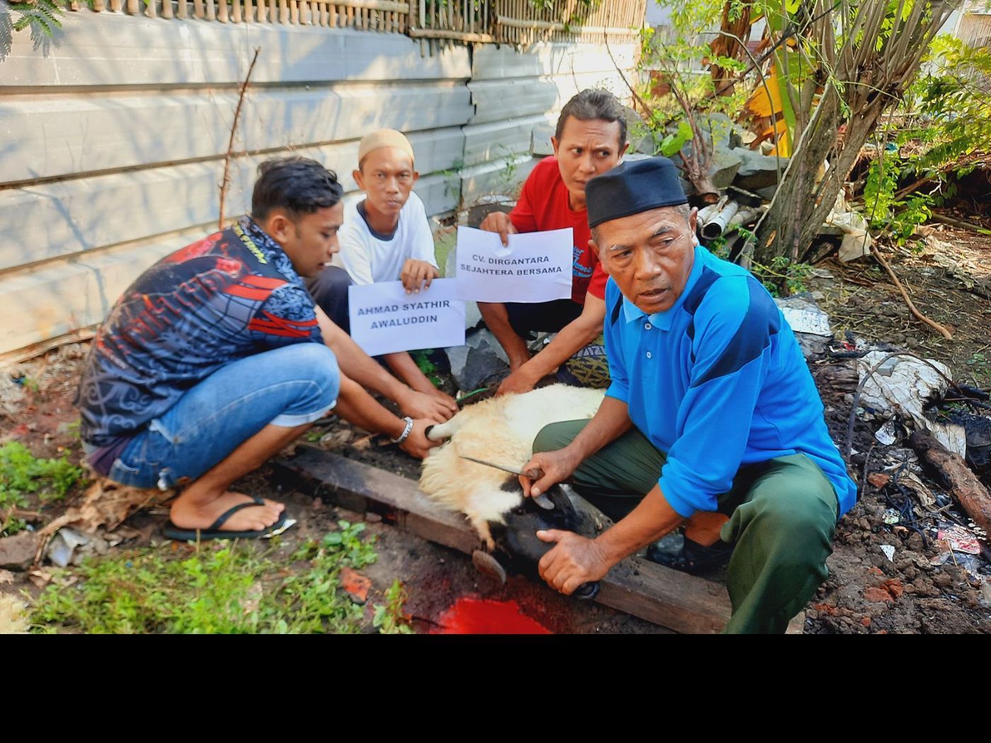 CV Dirgantara Sejahtera Bersama Depok Tebar 3 Hewan Qurban di 3 Titik di Hari Raya Idul Adha 1446H 