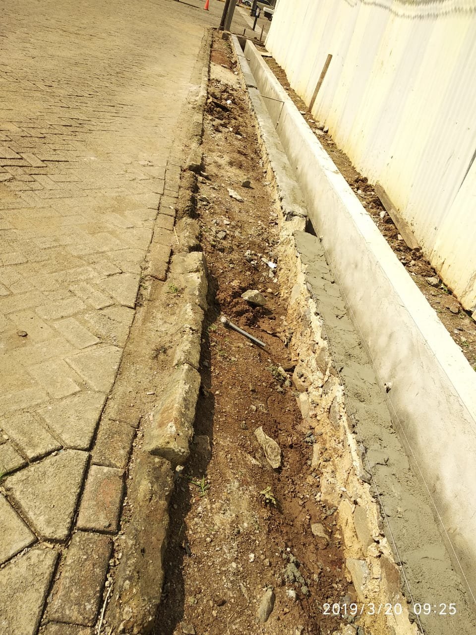img-1553137176.jpg