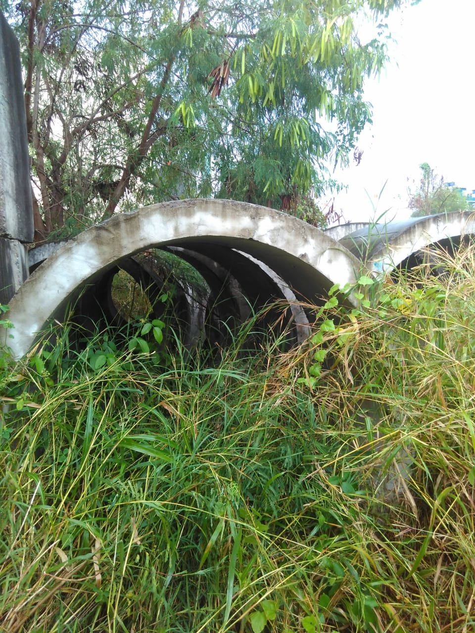 img-1554193551.jpg