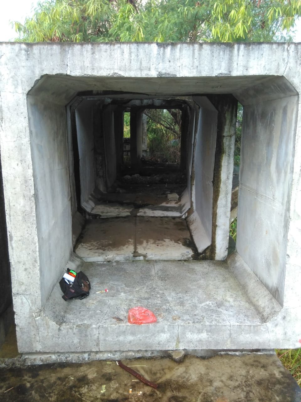 img-1554193572.jpg
