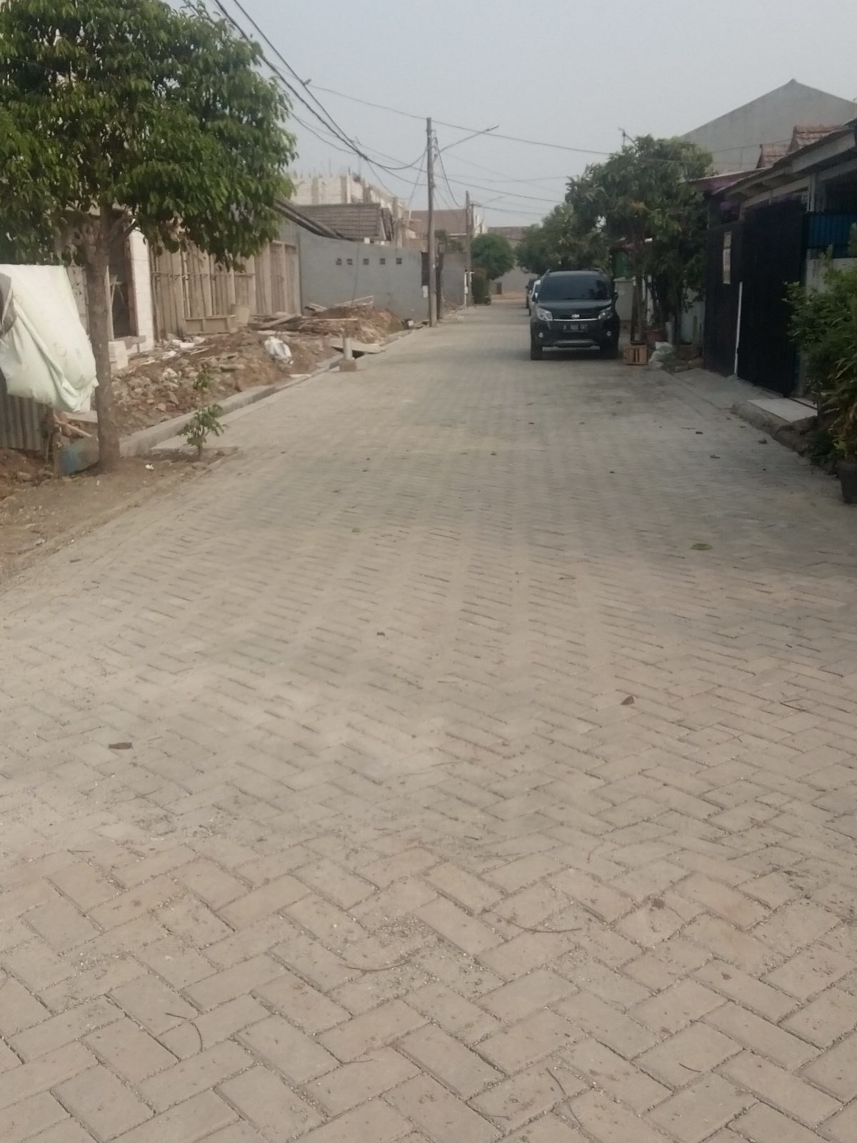 img-1564391701.jpg