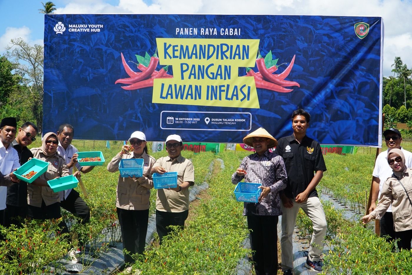 Panen Raya Cabai Youth Creative Hub Dorong Kemandirian Pangan Maluku