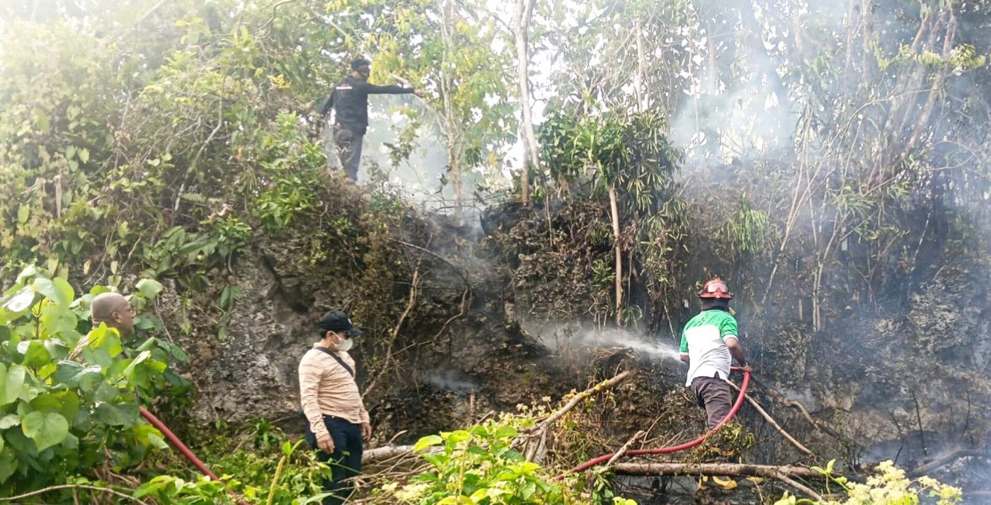 Berani Ungkap Pembakar Hutan, Camat Nusaniwe Siapkan Hadiah Rp10 Juta
