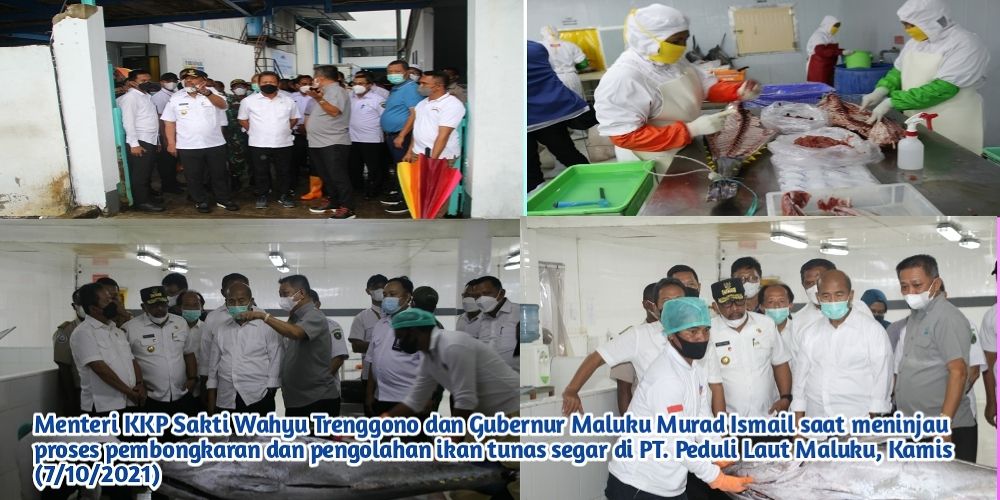 Gubernur Maluku Dampingi Menteri KKP Tinjau Processing Tuna di Ambon