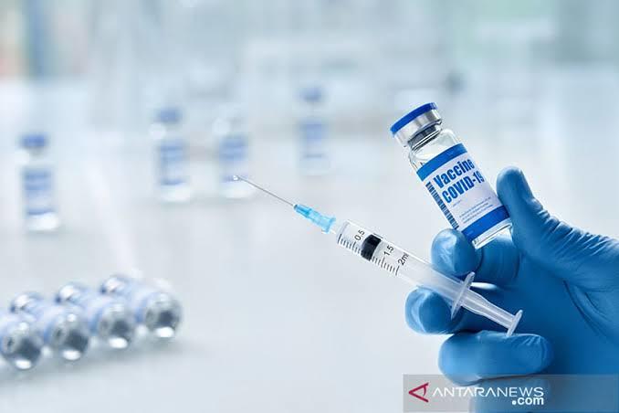 DINAS PERTANIAN DAN PANGAN KOTA AMBON GERAK CEPAT TANGANI PENYEBARAN VIRUS RABIES